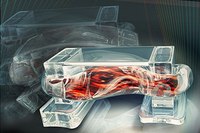 Создан биоробот на основе мышечных клеток