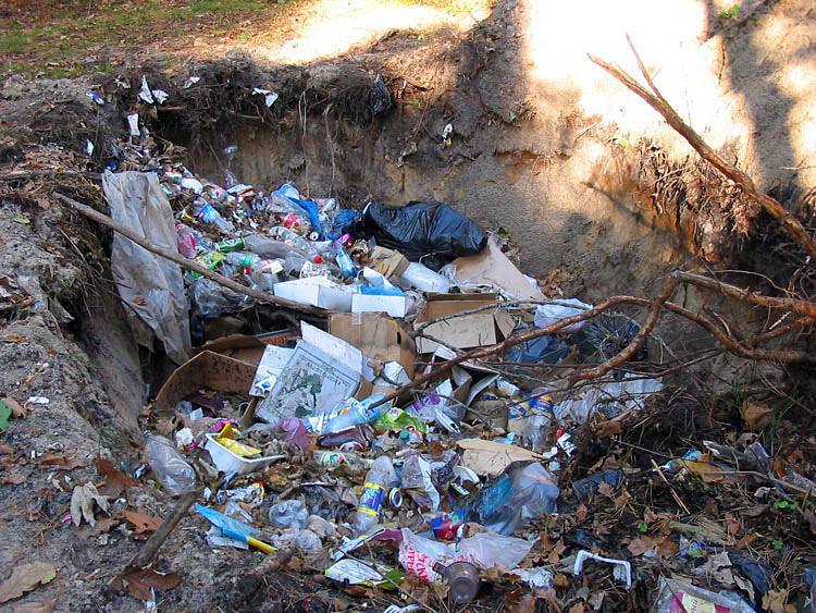 5204003433961618947 (1).jpg